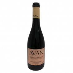 Avan