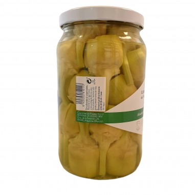 Alcachofa semilarga natural 26-28 piezas